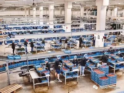 【視界】超越德國(guó)？揭秘農(nóng)業(yè)科技領(lǐng)域的隱形冠軍